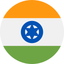 INR icon